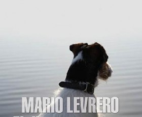 EL DISCURSO VACÍO, un libro de Mario Levrero